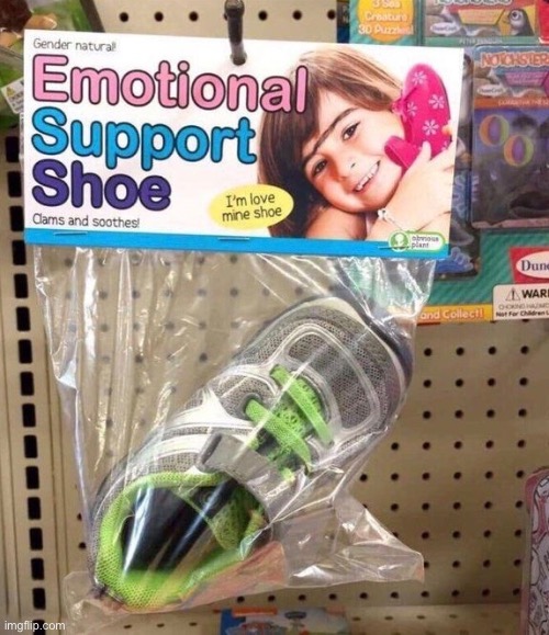 The longer you look the worse it gets... | image tagged in funny,shoe,weird | made w/ Imgflip meme maker