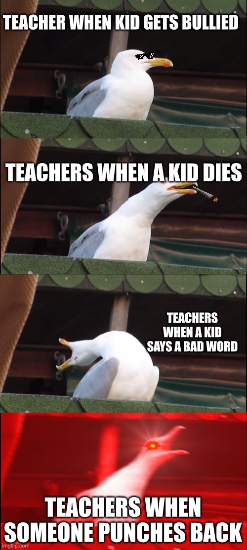 Inhaling Seagull | TEACHER WHEN KID GETS BULLIED; TEACHERS WHEN A KID DIES; TEACHERS WHEN A KID SAYS A BAD WORD; TEACHERS WHEN SOMEONE PUNCHES BACK | image tagged in memes,inhaling seagull | made w/ Imgflip meme maker