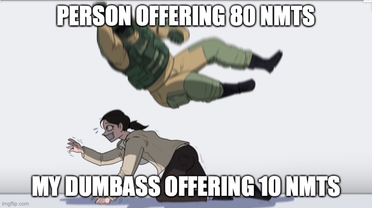 Me being a noob on Nookazon | PERSON OFFERING 80 NMTS; MY DUMBASS OFFERING 10 NMTS | image tagged in body slam | made w/ Imgflip meme maker