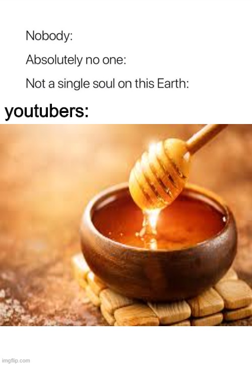 lol | youtubers: | image tagged in funny | made w/ Imgflip meme maker