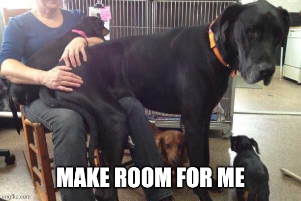 BIG DOG | MAKE ROOM FOR ME | image tagged in dogs | made w/ Imgflip meme maker