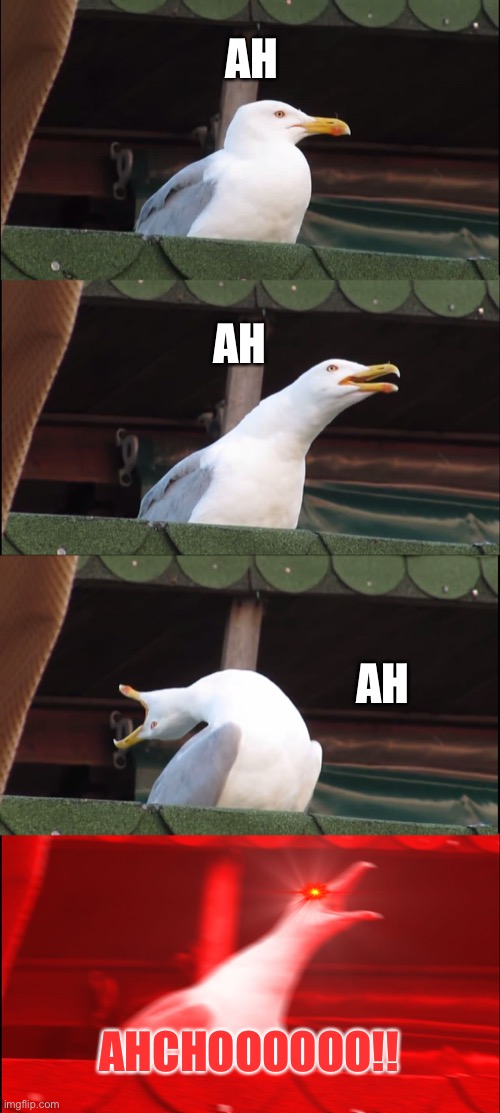 Inhaling Seagull | AH; AH; AH; AHCHOOOOOO!! | image tagged in memes,inhaling seagull | made w/ Imgflip meme maker
