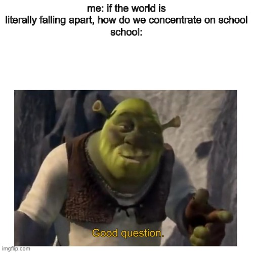 oh no | me: if the world is literally falling apart, how do we concentrate on school
school: | image tagged in good question shrek | made w/ Imgflip meme maker