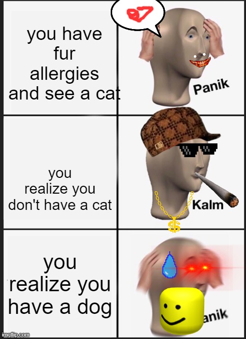 cat and dog | you have fur allergies and see a cat; you realize you don't have a cat; you realize you have a dog | image tagged in memes,panik kalm panik | made w/ Imgflip meme maker