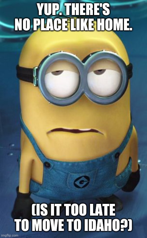 Minion Eye Roll | YUP. THERE'S NO PLACE LIKE HOME. (IS IT TOO LATE TO MOVE TO IDAHO?) | image tagged in minion eye roll | made w/ Imgflip meme maker
