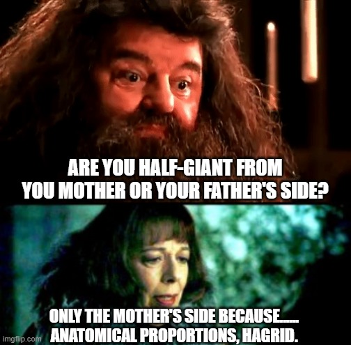 size matters, IMHO | ARE YOU HALF-GIANT FROM YOU MOTHER OR YOUR FATHER'S SIDE? ONLY THE MOTHER'S SIDE BECAUSE...... ANATOMICAL PROPORTIONS, HAGRID. | image tagged in olympe maxime,hagrid,harry potter meme | made w/ Imgflip meme maker