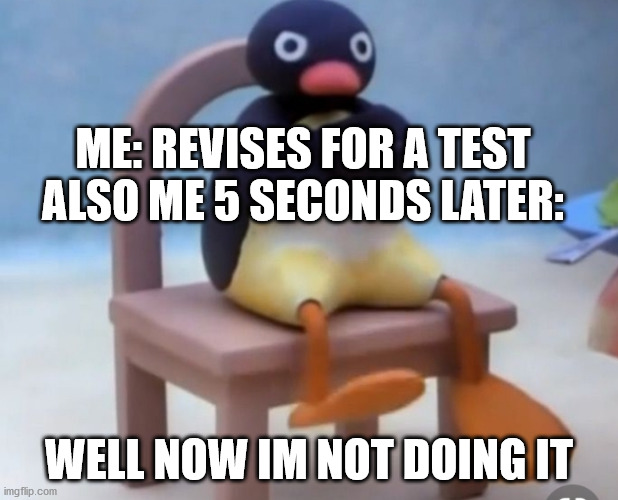 Angry pingu | ME: REVISES FOR A TEST

ALSO ME 5 SECONDS LATER:; WELL NOW IM NOT DOING IT | image tagged in angry pingu | made w/ Imgflip meme maker