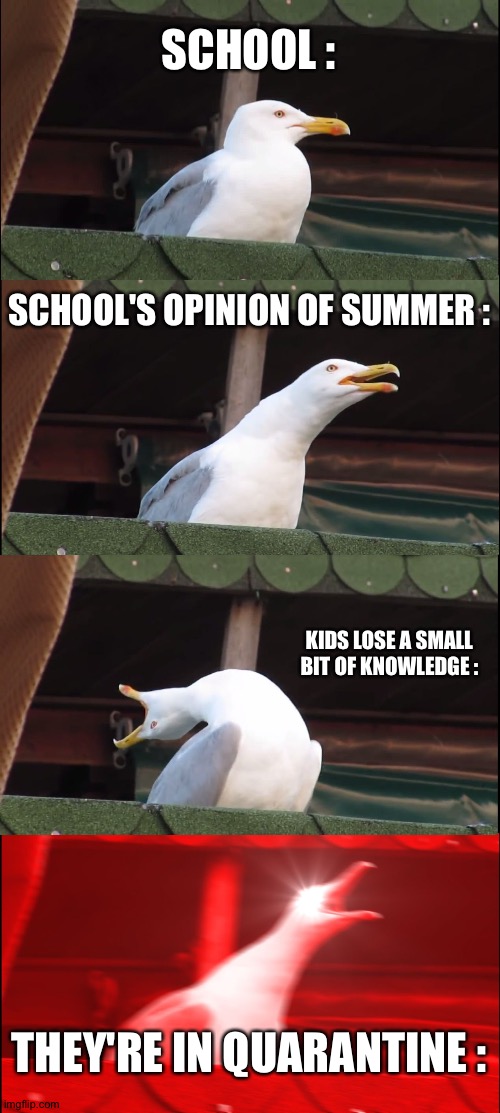 Inhaling Seagull Meme | SCHOOL :; SCHOOL'S OPINION OF SUMMER :; KIDS LOSE A SMALL BIT OF KNOWLEDGE :; THEY'RE IN QUARANTINE : | image tagged in memes,inhaling seagull | made w/ Imgflip meme maker