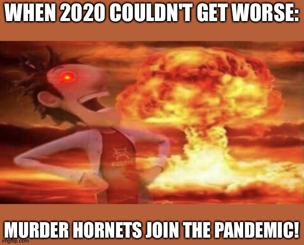 Flint Lockwood Explosion | WHEN 2020 COULDN'T GET WORSE:; MURDER HORNETS JOIN THE PANDEMIC! | image tagged in flint lockwood explosion | made w/ Imgflip meme maker