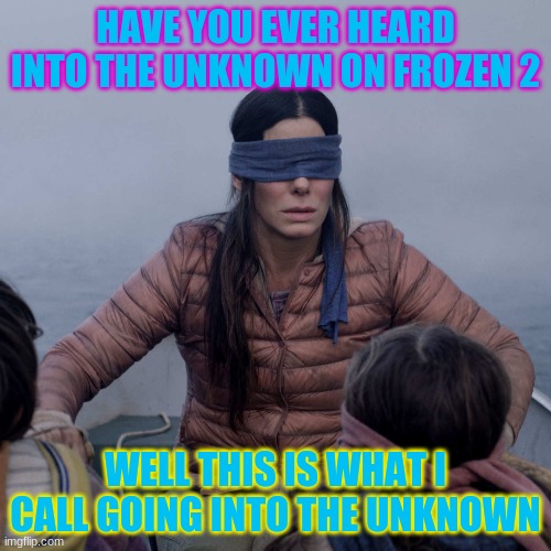 into the unknown | HAVE YOU EVER HEARD INTO THE UNKNOWN ON FROZEN 2; WELL THIS IS WHAT I CALL GOING INTO THE UNKNOWN | image tagged in memes,bird box | made w/ Imgflip meme maker