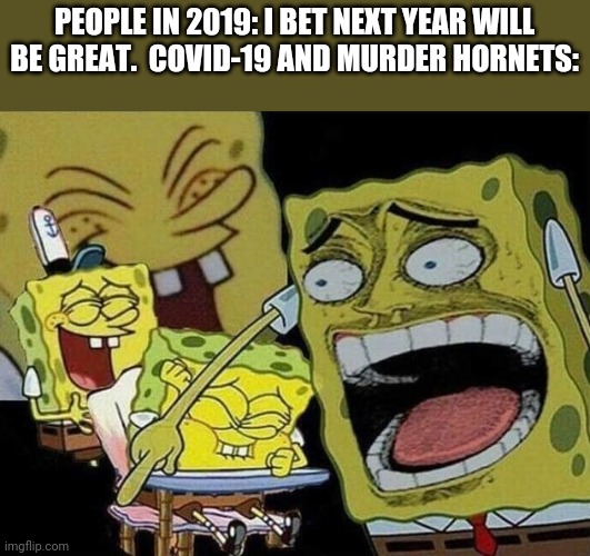 Covid 19 | PEOPLE IN 2019: I BET NEXT YEAR WILL BE GREAT.  COVID-19 AND MURDER HORNETS: | image tagged in spongebob laughing hysterically,covid-19,memes,2020,murder hornet | made w/ Imgflip meme maker