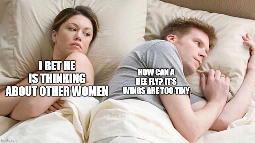 I Bet He's Thinking About Other Women Meme | HOW CAN A BEE FLY? IT'S WINGS ARE TOO TINY; I BET HE IS THINKING ABOUT OTHER WOMEN | image tagged in i bet he's thinking about other women | made w/ Imgflip meme maker