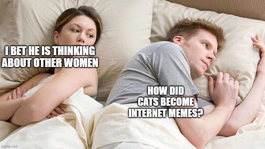 I Bet He's Thinking About Other Women Meme | I BET HE IS THINKING ABOUT OTHER WOMEN; HOW DID CATS BECOME INTERNET MEMES? | image tagged in i bet he's thinking about other women | made w/ Imgflip meme maker