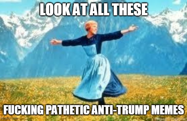 Look At All These Meme | LOOK AT ALL THESE FUCKING PATHETIC ANTI-TRUMP MEMES | image tagged in memes,look at all these | made w/ Imgflip meme maker