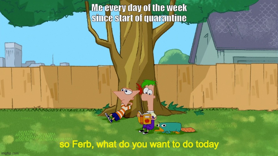 im bored | Me every day of the week since start of quarantine; so Ferb, what do you want to do today | image tagged in pewdiepie | made w/ Imgflip meme maker