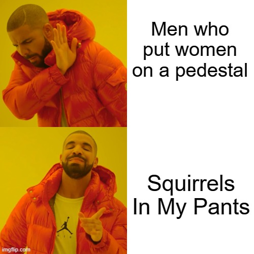 The only S.I.M.P. we acknowledge. | Men who put women on a pedestal; Squirrels In My Pants | image tagged in memes,drake hotline bling,drake,simp,phineas and ferb | made w/ Imgflip meme maker