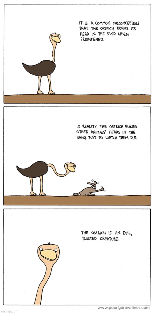 Ostriches | made w/ Imgflip meme maker