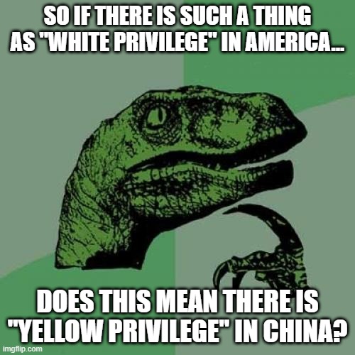 Why is It Always About Color? | SO IF THERE IS SUCH A THING AS "WHITE PRIVILEGE" IN AMERICA... DOES THIS MEAN THERE IS "YELLOW PRIVILEGE" IN CHINA? | image tagged in memes,philosoraptor | made w/ Imgflip meme maker