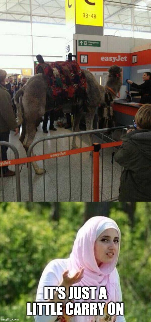 CAMEL CARRY ON | IT'S JUST A LITTLE CARRY ON | image tagged in confused arab lady,memes,camel | made w/ Imgflip meme maker