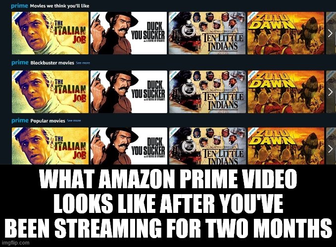 WHAT AMAZON PRIME VIDEO LOOKS LIKE AFTER YOU'VE BEEN STREAMING FOR TWO MONTHS | image tagged in memes,self isolation,covid-19,amazon prime vieo | made w/ Imgflip meme maker