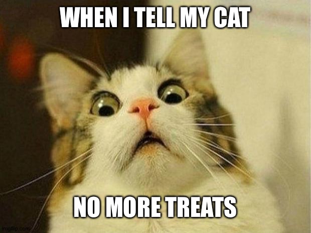 Scared Cat Meme | WHEN I TELL MY CAT; NO MORE TREATS | image tagged in memes,scared cat | made w/ Imgflip meme maker