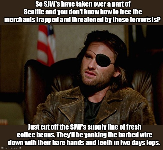 Snake Plissken consulted abut CHAZ | So SJW's have taken over a part of Seattle and you don't know how to free the merchants trapped and threatened by these terrorists? Just cut off the SJW's supply line of fresh coffee beans. They'll be yanking the barbed wire down with their bare hands and teeth in two days tops. | image tagged in snake plissken asks,seattle,terrorists,chaz,anarchy,rioters | made w/ Imgflip meme maker