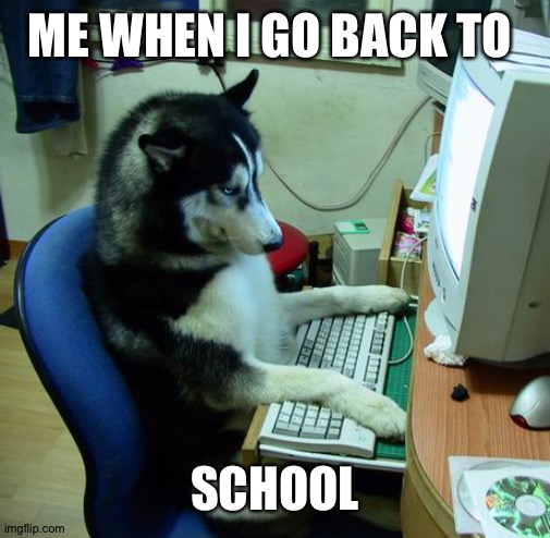 I Have No Idea What I Am Doing | ME WHEN I GO BACK TO; SCHOOL | image tagged in memes,i have no idea what i am doing | made w/ Imgflip meme maker