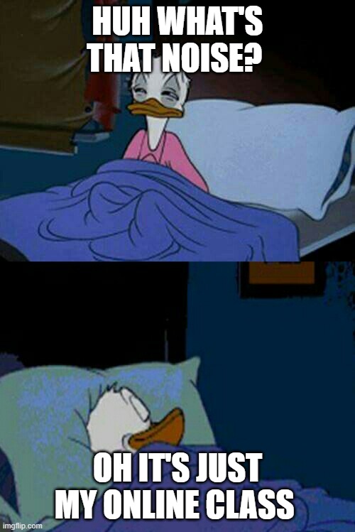 sleepy donald duck in bed | HUH WHAT'S THAT NOISE? OH IT'S JUST MY ONLINE CLASS | image tagged in sleepy donald duck in bed | made w/ Imgflip meme maker
