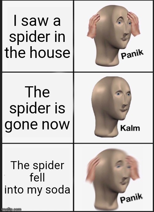 Spiders | I saw a spider in the house; The spider is gone now; The spider fell into my soda | image tagged in memes,panik kalm panik,spiders | made w/ Imgflip meme maker
