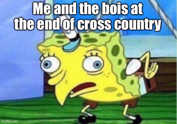 Mocking Spongebob Meme | Me and the bois at the end of cross country | image tagged in memes,mocking spongebob | made w/ Imgflip meme maker