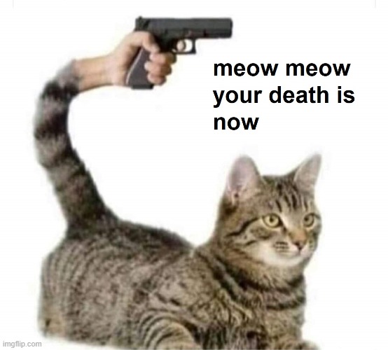 meow meow your death is now | image tagged in meow meow your death is now | made w/ Imgflip meme maker