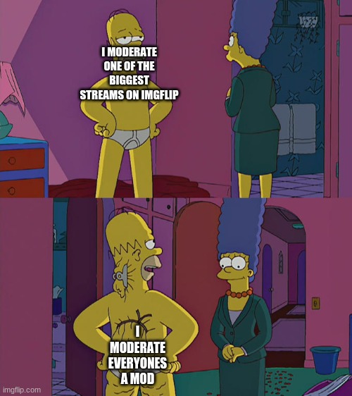 Homer Simpson's Back Fat | I MODERATE ONE OF THE BIGGEST STREAMS ON IMGFLIP; I MODERATE EVERYONE'S A MOD | image tagged in homer simpson's back fat | made w/ Imgflip meme maker