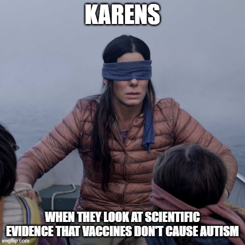 Bird Box Meme | KARENS; WHEN THEY LOOK AT SCIENTIFIC EVIDENCE THAT VACCINES DON'T CAUSE AUTISM | image tagged in memes,bird box | made w/ Imgflip meme maker