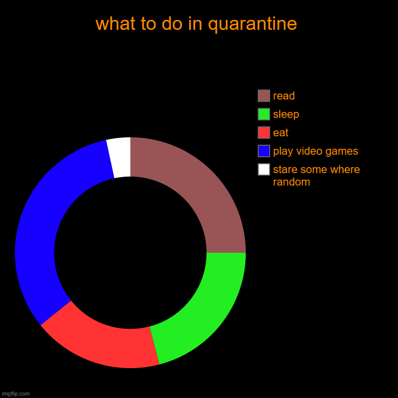what to do in quarintine | what to do in quarantine | stare some where random, play video games, eat, sleep, read | image tagged in charts,donut charts,donuts,quarantine | made w/ Imgflip chart maker