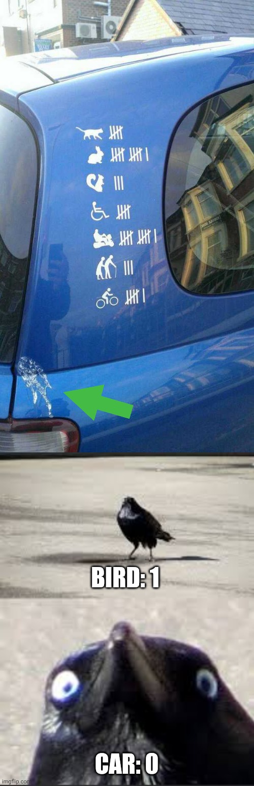 TAKE THAT! | BIRD: 1; CAR: 0 | image tagged in it would be a shame bird,memes,birds,score,poop | made w/ Imgflip meme maker