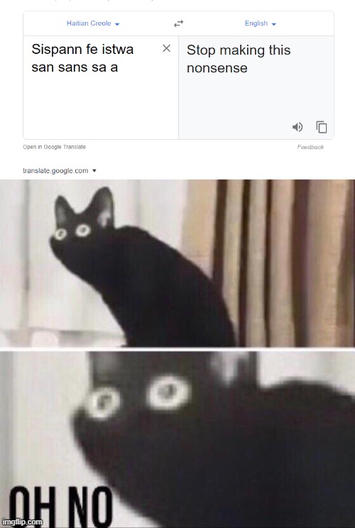 image tagged in oh no cat,meme,google is spying on us | made w/ Imgflip meme maker