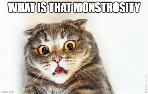 horrified cat | WHAT IS THAT MONSTROSITY | image tagged in horrified cat | made w/ Imgflip meme maker