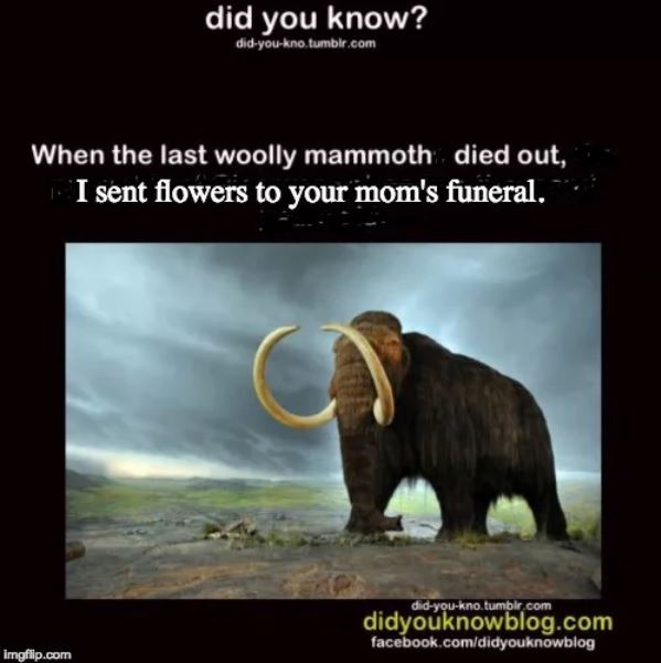 High Quality altered mammoth meme Blank Meme Template