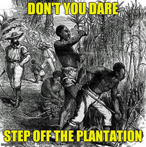 Plantation Slaves | DON'T YOU DARE STEP OFF THE PLANTATION | image tagged in plantation slaves | made w/ Imgflip meme maker