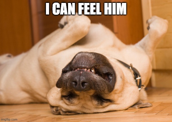 Sleeping dog | I CAN FEEL HIM | image tagged in sleeping dog | made w/ Imgflip meme maker