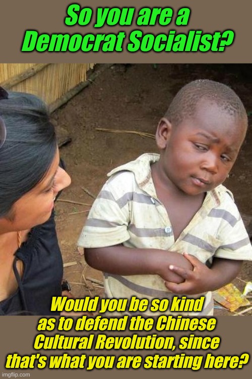 Just wondering if we really need artists, intellectuals, professors, doctors and people like that when government rules us. | So you are a Democrat Socialist? Would you be so kind as to defend the Chinese Cultural Revolution, since that's what you are starting here? | image tagged in memes,third world skeptical kid | made w/ Imgflip meme maker