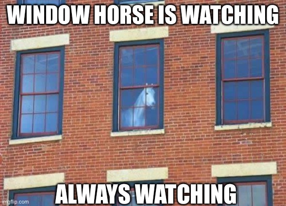 window horse | WINDOW HORSE IS WATCHING; ALWAYS WATCHING | image tagged in window horse,horse,weird | made w/ Imgflip meme maker