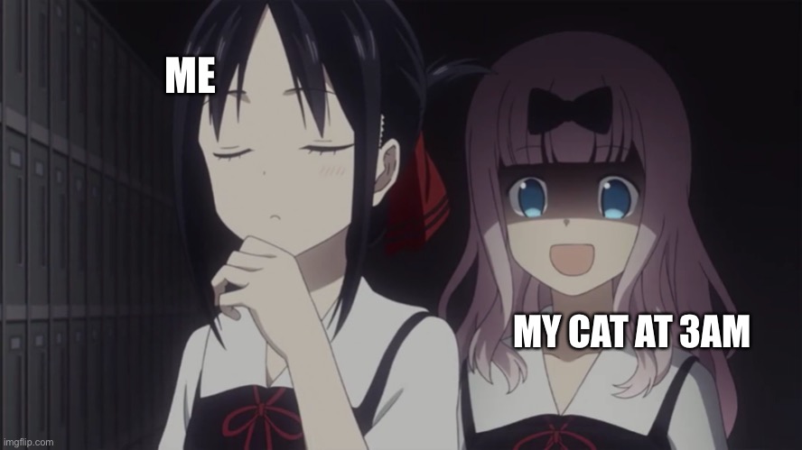 This makes no sense but whatever | ME; MY CAT AT 3AM | image tagged in kaguya-sama horror,cats,weird stuff | made w/ Imgflip meme maker