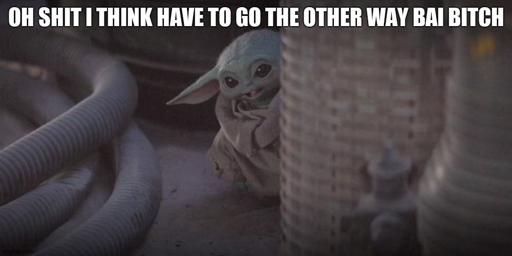 Baby Yoda Peek | OH SHIT I THINK HAVE TO GO THE OTHER WAY BAI BITCH | image tagged in baby yoda peek,hide and seek | made w/ Imgflip meme maker