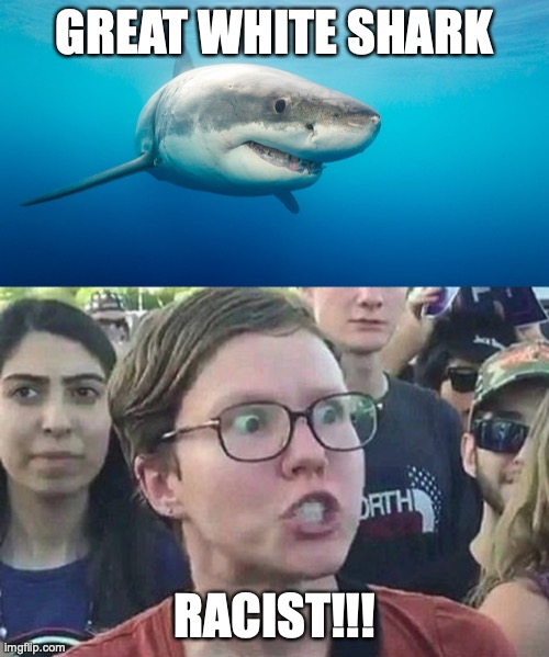 Great White Shark | GREAT WHITE SHARK; RACIST!!! | image tagged in triggered liberal,shark,racist,hypocrisy,useless idiot | made w/ Imgflip meme maker
