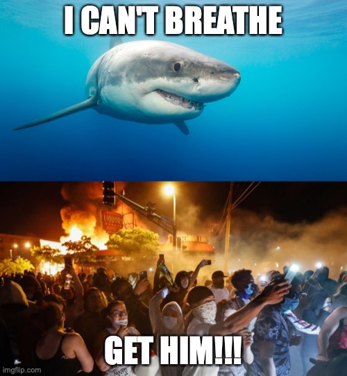 Lesser White Shark | I CAN'T BREATHE; GET HIM!!! | image tagged in riotersnodistancing,mob,mayhem,madness,morons | made w/ Imgflip meme maker