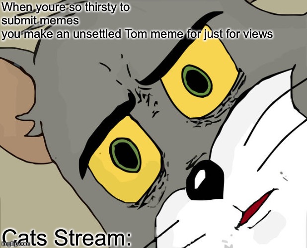 Unsettled Tom | When youre so thirsty to submit memes 
you make an unsettled Tom meme for just for views; Cats Stream: | image tagged in memes,unsettled tom | made w/ Imgflip meme maker
