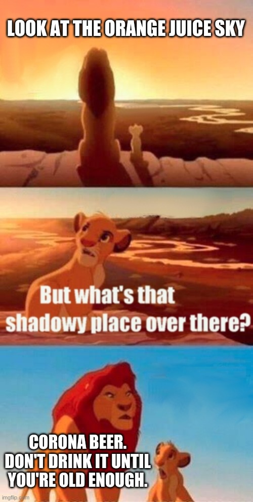 Lol what did I just make? | LOOK AT THE ORANGE JUICE SKY; CORONA BEER.
DON'T DRINK IT UNTIL YOU'RE OLD ENOUGH. | image tagged in memes,simba shadowy place | made w/ Imgflip meme maker