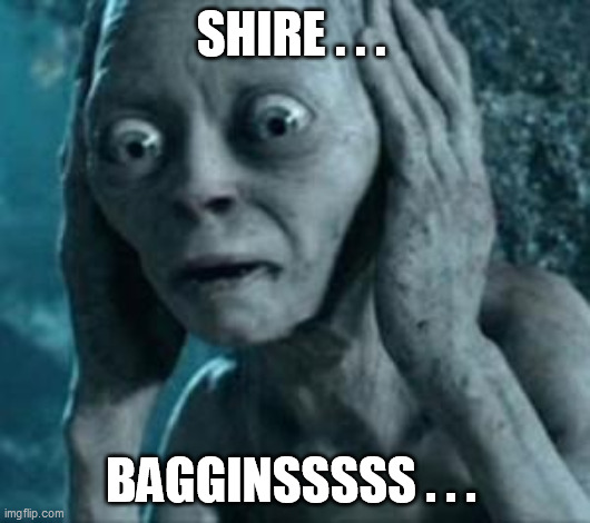 Scared Gollum | SHIRE . . . BAGGINSSSSS . . . | image tagged in scared gollum | made w/ Imgflip meme maker