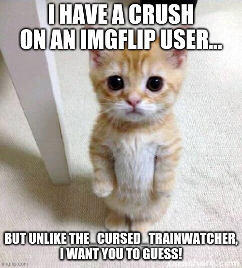 I'm a girl, btw... | I HAVE A CRUSH ON AN IMGFLIP USER... BUT UNLIKE THE_CURSED_TRAINWATCHER, I WANT YOU TO GUESS! | image tagged in memes,cute cat | made w/ Imgflip meme maker